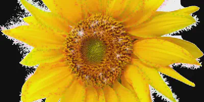 /img/14118-sunflower-seasonal.webp