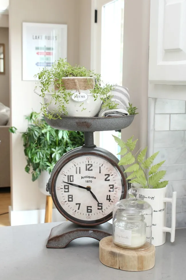 14136 kitchen herb garden