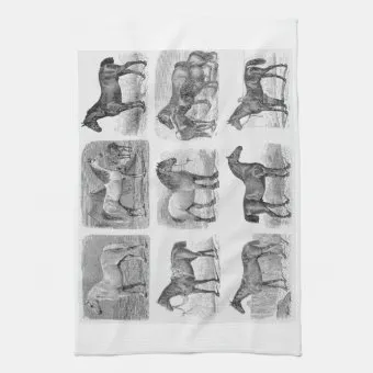 14308 horse tote utensil storage