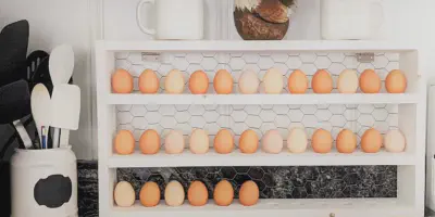 /img/14316-egg-holder-refrigerator.webp