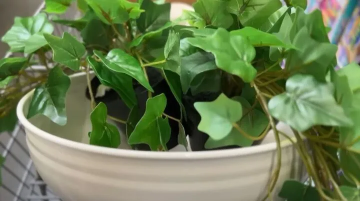 14322 sunflower curtains